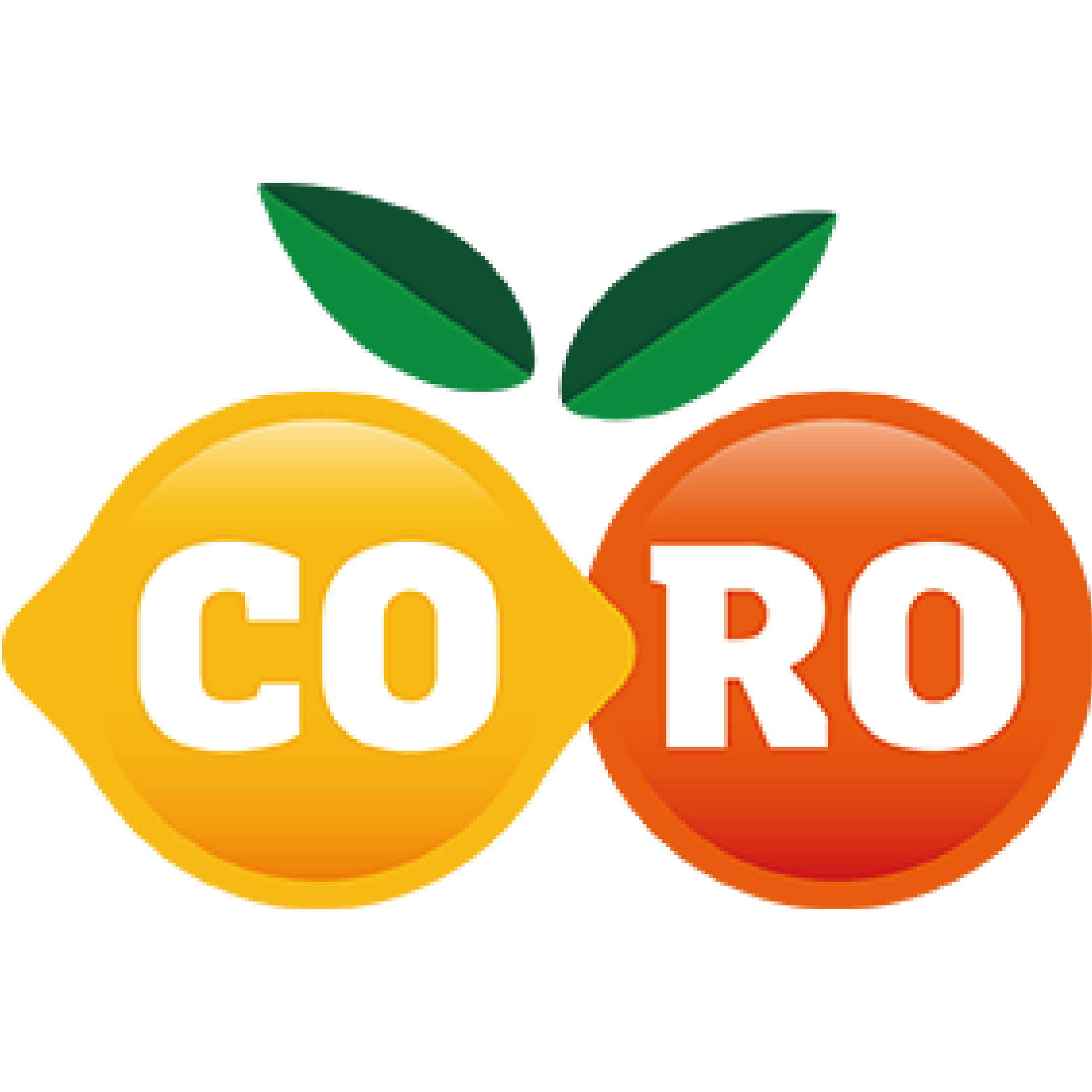 CO-RO Deutschland